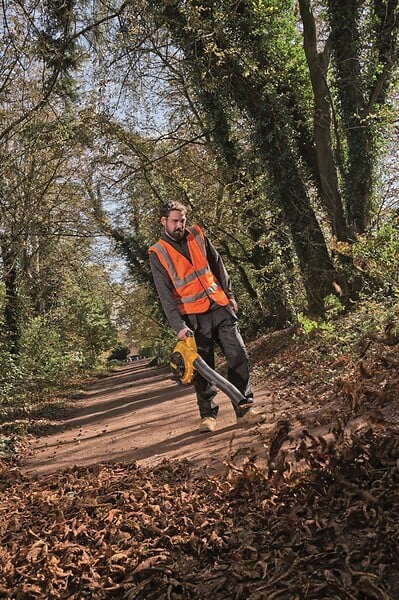 Souffleur sans fil - Pro Landscape - DEWALT - 36V